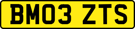 BM03ZTS
