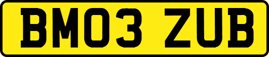 BM03ZUB