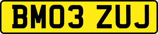 BM03ZUJ