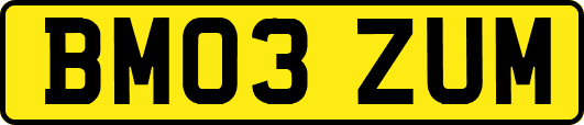 BM03ZUM