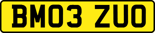 BM03ZUO
