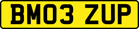BM03ZUP