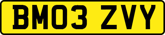 BM03ZVY