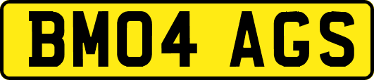 BM04AGS