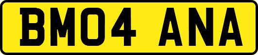 BM04ANA