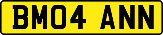 BM04ANN