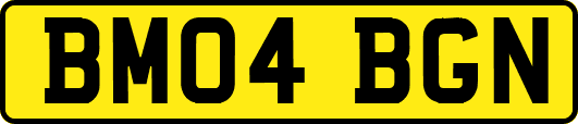 BM04BGN
