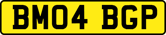 BM04BGP