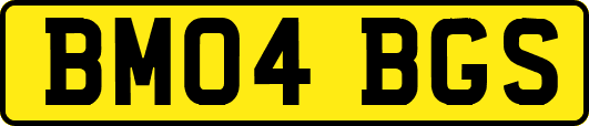 BM04BGS