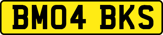 BM04BKS