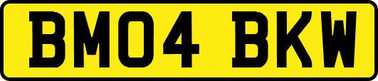 BM04BKW