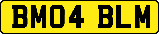 BM04BLM