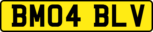 BM04BLV