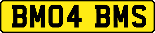 BM04BMS