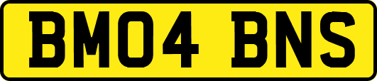BM04BNS