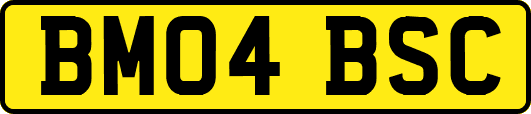 BM04BSC