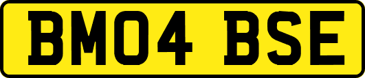 BM04BSE