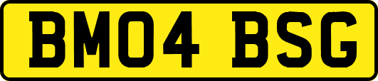 BM04BSG