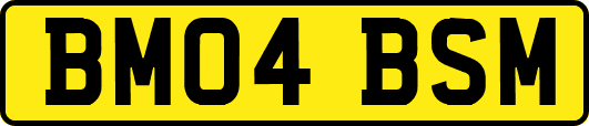 BM04BSM