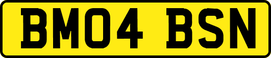 BM04BSN