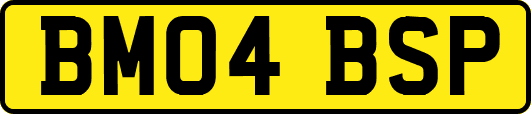 BM04BSP
