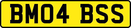BM04BSS