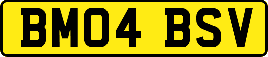 BM04BSV