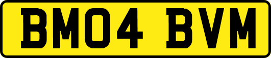 BM04BVM
