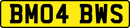 BM04BWS
