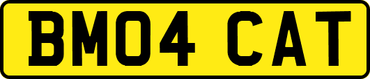BM04CAT