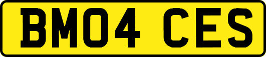 BM04CES