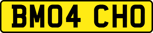 BM04CHO