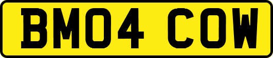 BM04COW