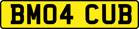 BM04CUB