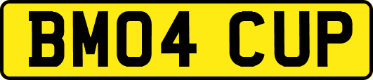 BM04CUP