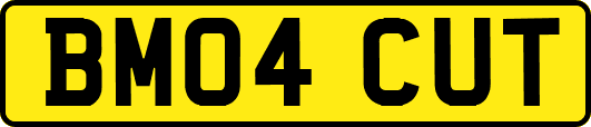 BM04CUT