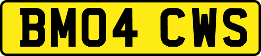 BM04CWS
