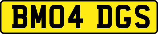 BM04DGS