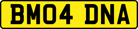 BM04DNA