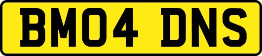 BM04DNS