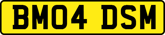 BM04DSM