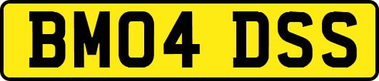 BM04DSS