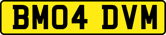 BM04DVM