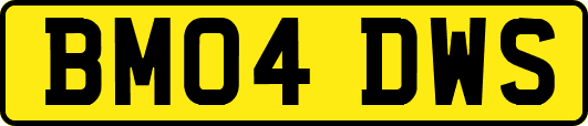 BM04DWS
