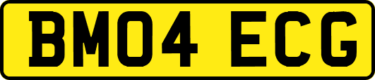 BM04ECG