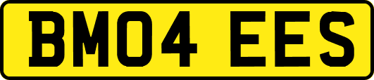 BM04EES