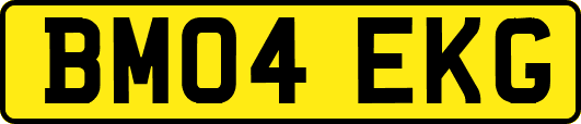 BM04EKG