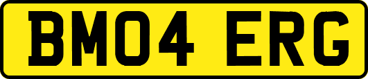 BM04ERG