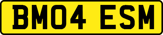 BM04ESM