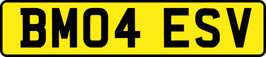 BM04ESV